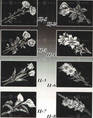 Изображения гравировки для оформления памятника